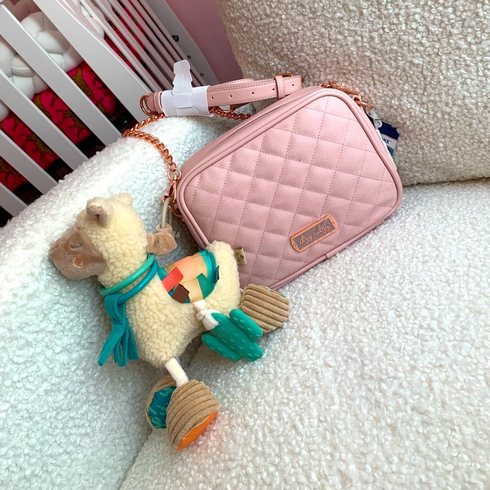 Itzy Ritzy Diaper Bag